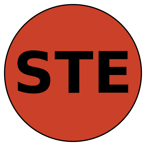 Savvy Travel Experts